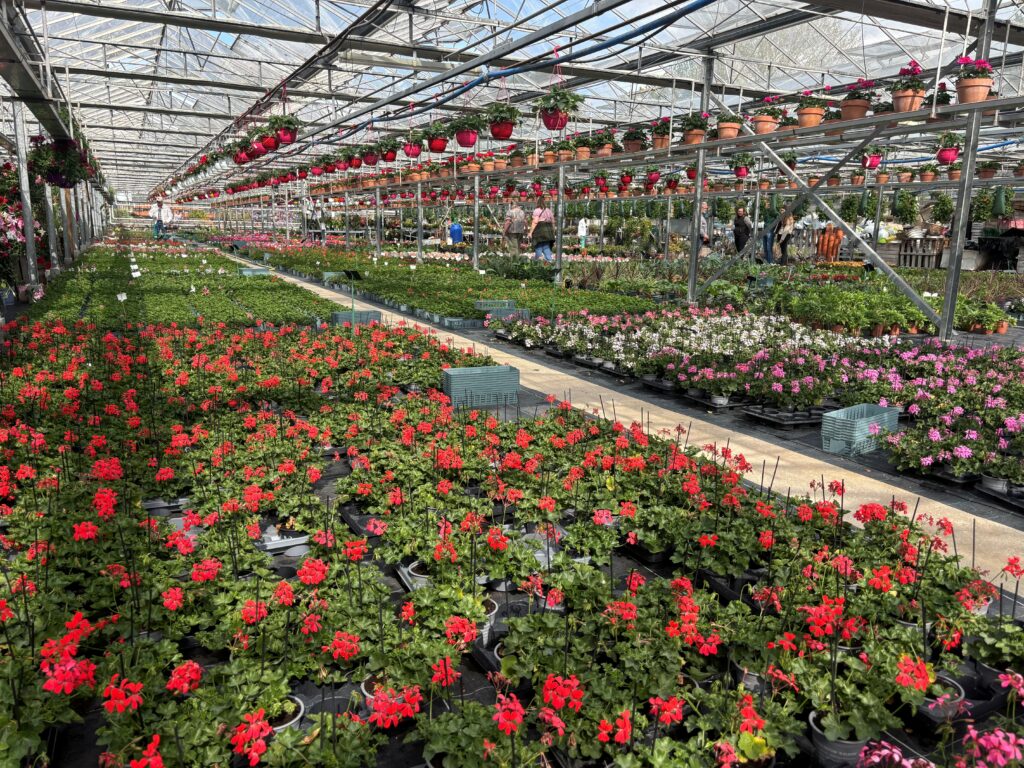 SERRES DE LARDILLE JARDINERIE PRODUCTEURS NOGENT SUR AUBE